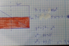 124868274_873396626736044_8031684086550773150_n