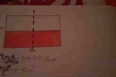 125366177_768064327383797_923408183278184976_n
