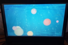 485718028_122157354728069641_3506715858628010847_n