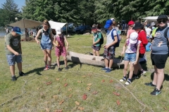 201986375_595593821426494_7387511111039514066_n
