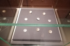 286756259_5098742336828661_8002585417545153899_n