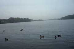P1040656