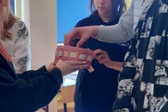 339141137_253975846990191_7118849648308552001_n