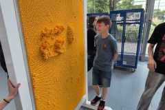 IMG-20260609-WA0053